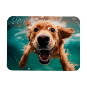 Happy Golden Retriever Schwimmen unter Wasser Magnet