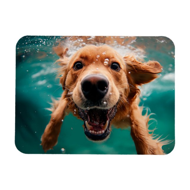 Happy Golden Retriever Schwimmen unter Wasser Magnet (Horizontal)