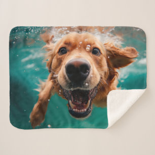 Happy Golden Retriever Schwimmen unter Wasser Sherpadecke