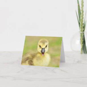Happy Gosling (Kanada Goose #2) - Blank Note Card Dankeskarte