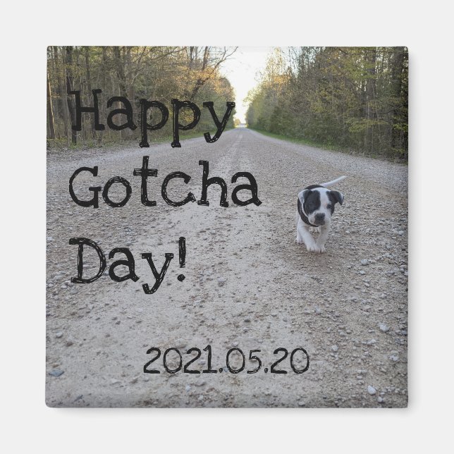 Happy Gotcha Day Magnet (Vorne)