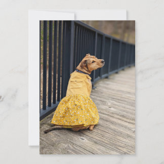 Happy Gotcha Tag Extravagantes Kleid Foto Dockkart Dankeskarte
