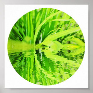 Happy Green Grass Reflection Nature Poster