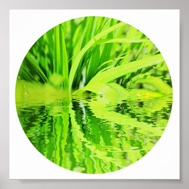 Happy Green Grass Reflection Nature Poster (Vorne)