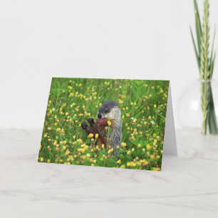 Happy Groundhog Day Card! Karte