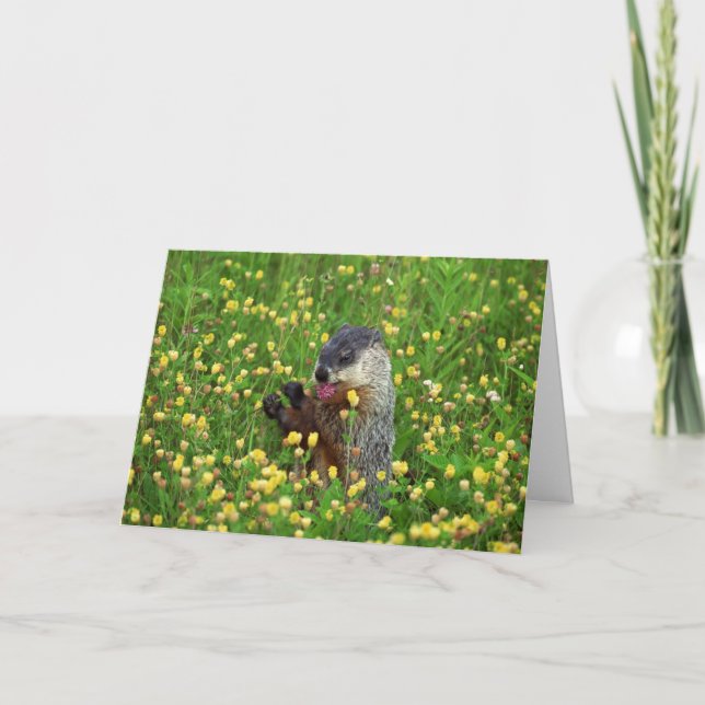 Happy Groundhog Day Card! Karte (Vorderseite)