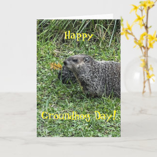 Happy Groundhog Day, custom greeting cards Karte