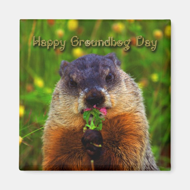 Happy Groundhog Day Eating Blume Magnet (Vorne)