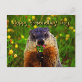 Happy Groundhog Day Eating Blume Postkarte