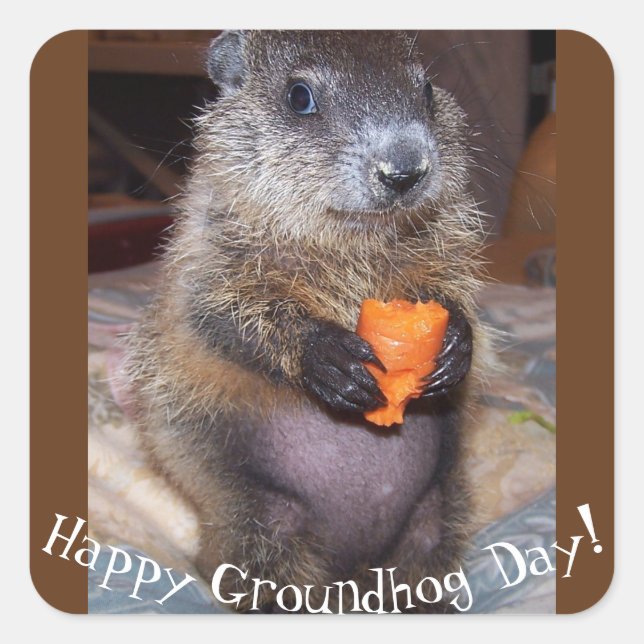 Happy Groundhog Day Stickers (Vorderseite)