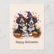 Happy Halloween Berner Hunde