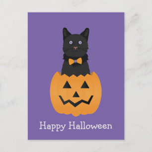 Happy Halloween Black Cat Pumpkin Postkarte