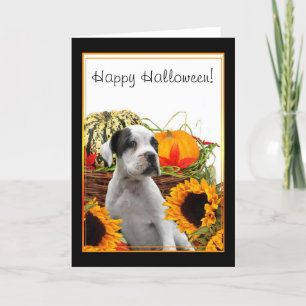 Happy Halloween Boxer Welpengrüßkarte Karte