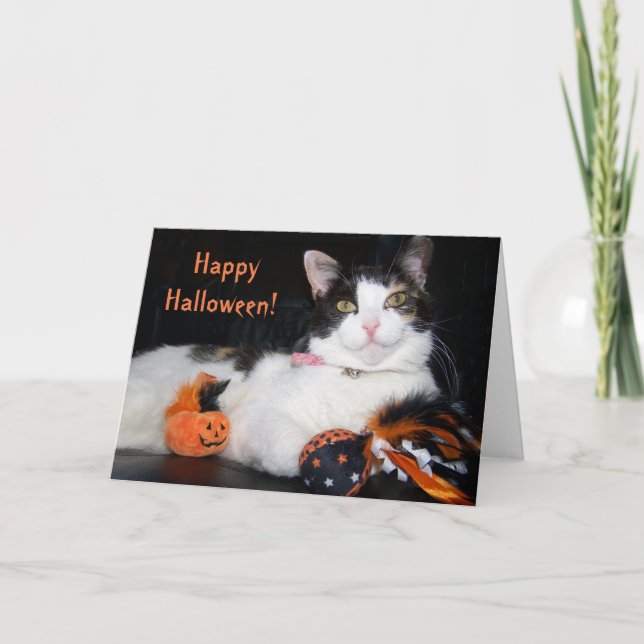 Happy Halloween Cat Calico Kitty mit Pumpkin Karte (Vorderseite)