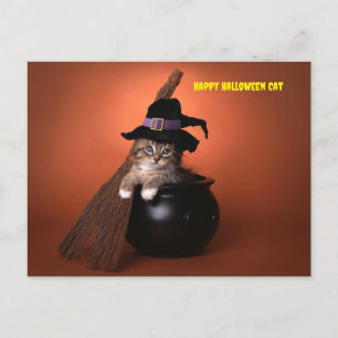 Happy Halloween Cat Feiertagspostkarte