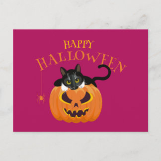 Happy Halloween Cat fun Postcard Postkarte