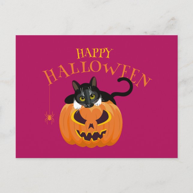 Happy Halloween Cat fun Postcard Postkarte (Vorderseite)