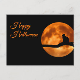 Happy Halloween Cat Postkarte