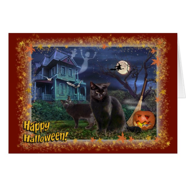 Happy Halloween Cats (Vorderseite (Horizontal))