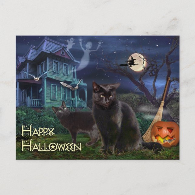 Happy Halloween Cats Postkarte (Vorderseite)