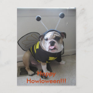 Happy Halloween Feiertagspostkarte
