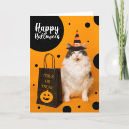 Happy Halloween For Anyone Cute Cat in Witch Hat Feiertagskarte