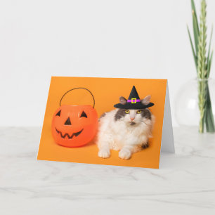 Happy Halloween für jede Niedliche Katze in Hexenh Feiertagskarte
