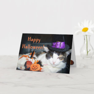 Happy Halloween Hexenkaterkarte Karte
