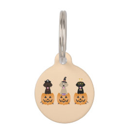 Happy Halloween Labrador Retriever Dogs Pumpkin Haustiermarke
