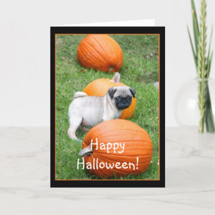 Happy Halloween Mops Welpengrüße Karte