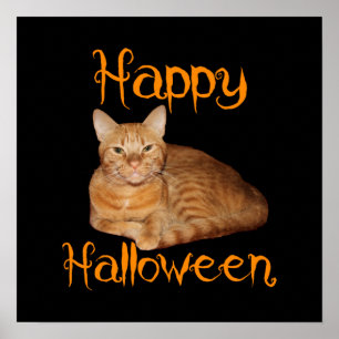 Happy Halloween Non-Beängstigend Orange Tabby Cat Poster