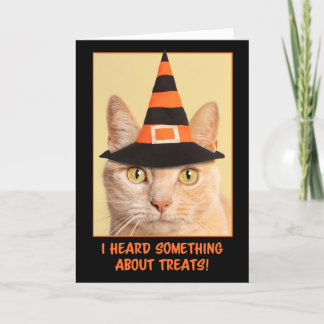 Happy Halloween Orange Tabby Cat Witch Feiertagskarte
