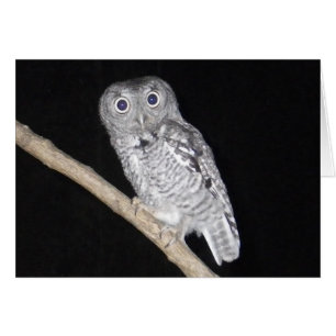 Happy Halloween Owl Card