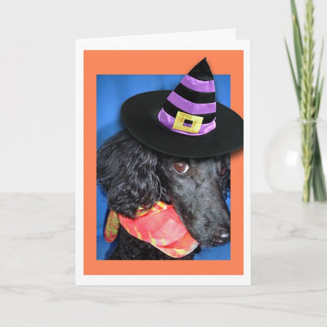 Happy Halloween Party Hat Poodle Card Karte (Vorderseite)
