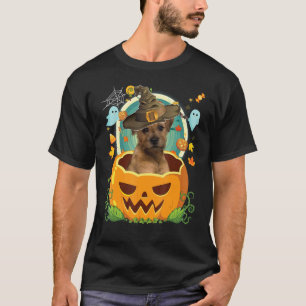 Happy Halloween Pumpkin Border Terrier Dog Hexe C T-Shirt