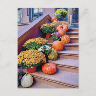 Happy Halloween Pumpkin Treairs New York Postcard Postkarte