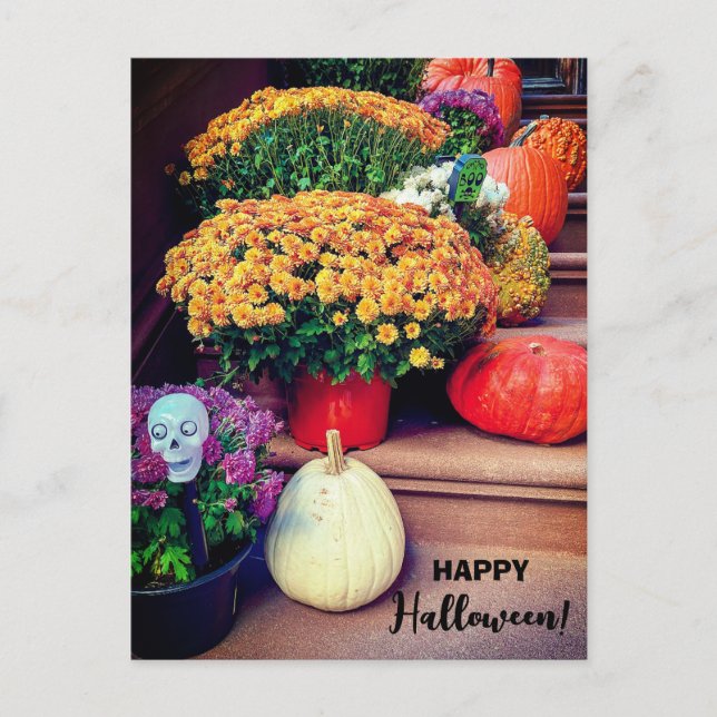 Happy Halloween Pumpkin Treairs New York Postcard Postkarte