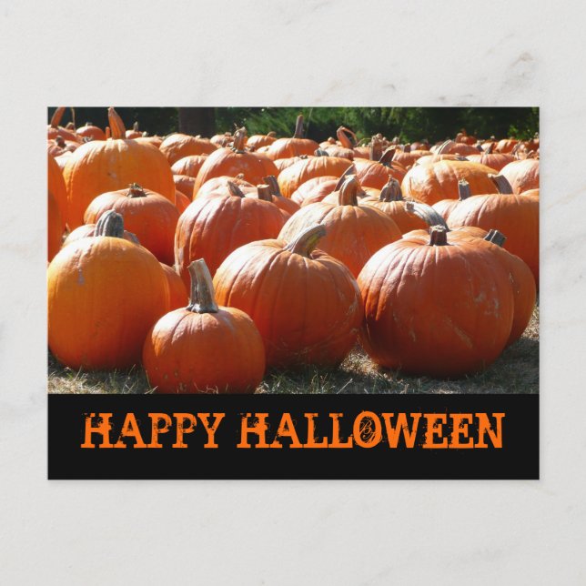 Happy Halloween Pumpkins Card Postkarte (Vorderseite)