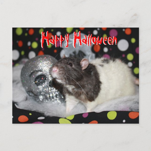 Happy Halloween - Rat Postcar Postkarte (Vorderseite)