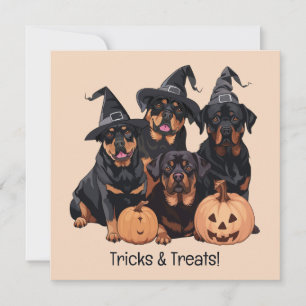 Happy Halloween Rottweiler Hunde Kürbislaterne Einladung
