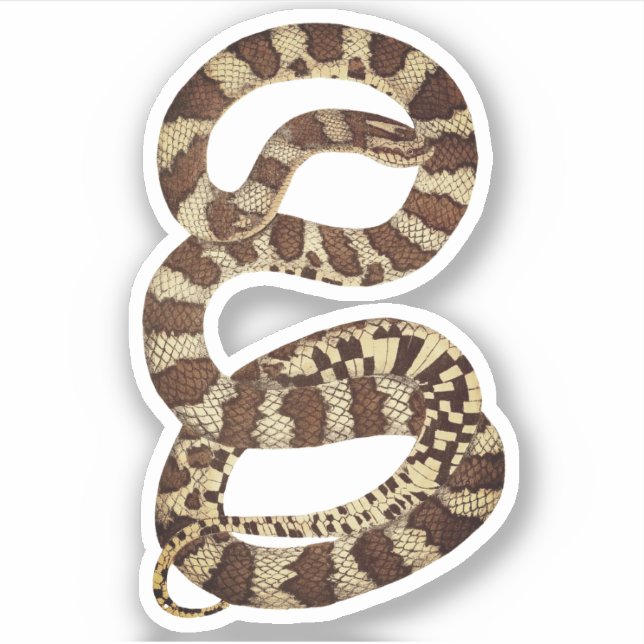 Happy Halloween Snake Stickers Aufkleber (Vorderseite)