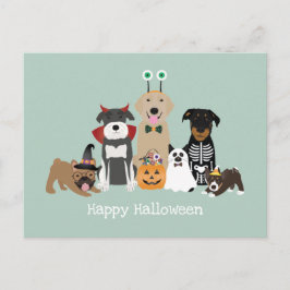 Happy Halloween Spooky Pet Kostüme Postkarte