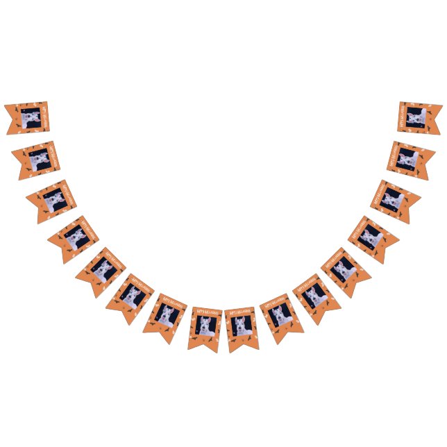 Happy Halloween Wimpelkette (Alle)