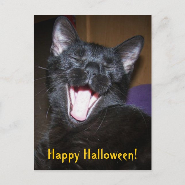 Happy Halloween Yawn Black Cat Postcard Postkarte (Vorderseite)