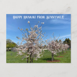 Happy Hanami aus Sunnyvale! Postkarte