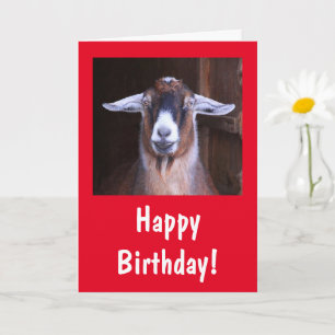 Happy Handsome Goat Birthday Karte