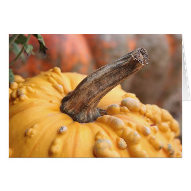 Happy Harvest! (Vorderseite (Horizontal))