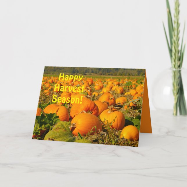 Happy Harvest Season, Pumpkin Patch Scene Gruß Karte (Vorderseite)