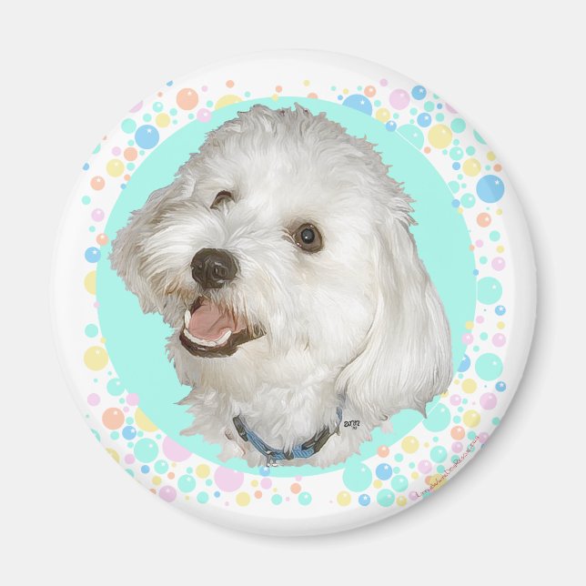 Happy Havanese Magnet (Vorne)