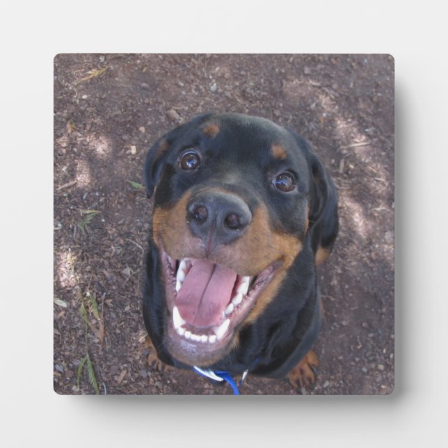Happy Heidi Rottweiler Foto Plaque Fotoplatte (Vorderseite)